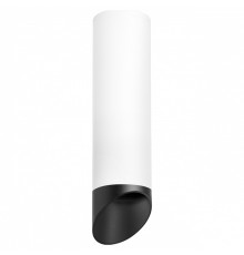 Накладной светильник Lightstar Rullo R649687