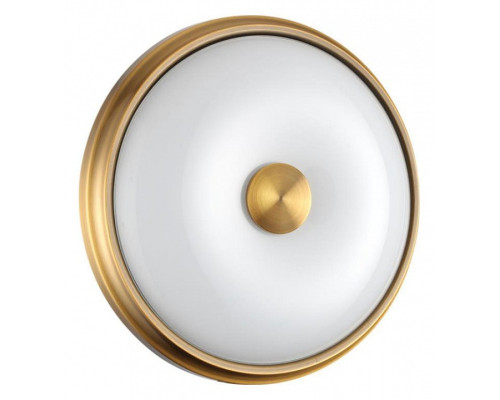 Накладной светильник Odeon Light Pelow 4956/2 Накладной светильник Odeon Light Pelow 4956/2