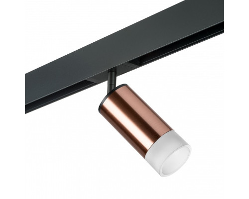 Светильник на штанге Lightstar Rullo PRO43031 Светильник на штанге Lightstar Rullo PRO43031