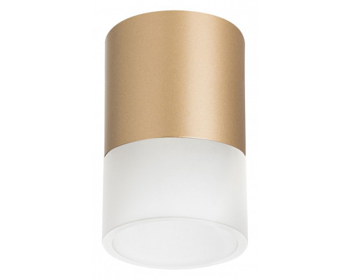 Накладной светильник Lightstar Rullo R349081 Накладной светильник Lightstar Rullo R349081