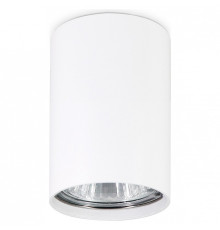 Накладной светильник Ambrella Light TN TN213101