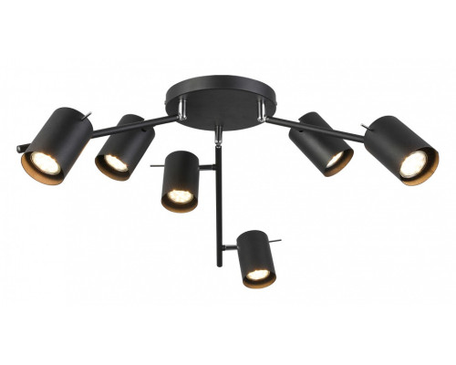 Потолочная люстра ST-Luce Fanale SL597.402.06 Потолочная люстра ST-Luce Fanale SL597.402.06