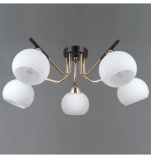 Потолочная люстра ILLUMICO LIBRA IL0713-5CSQ-24 BK FGD LIBRA
