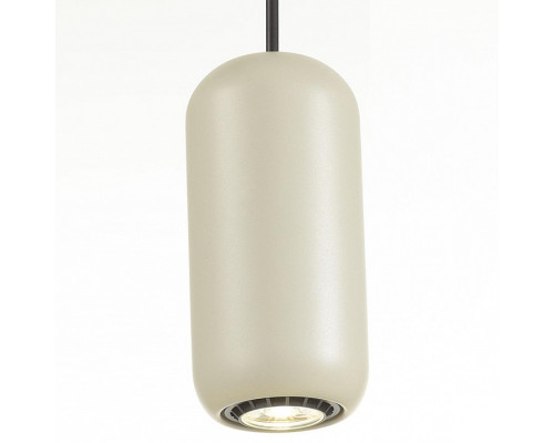 Подвесной светильник Odeon Light Cocoon 5060/1G Подвесной светильник Odeon Light Cocoon 5060/1G