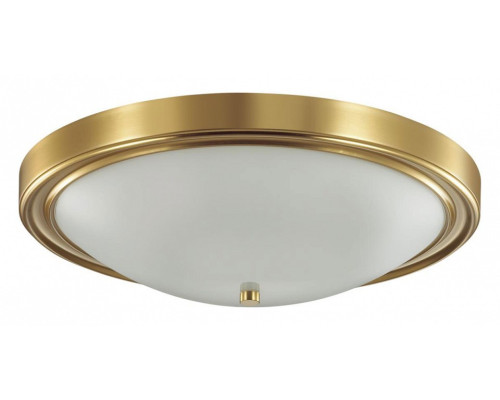 Накладной светильник Lumion Nina 5259/4C Накладной светильник Lumion Nina 5259/4C