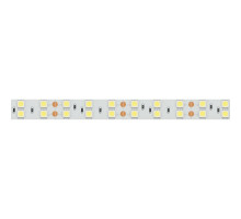 Лента светодиодная Arlight  013756(2)