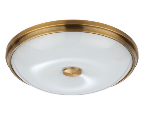 Накладной светильник Odeon Light Pelow 4956/4 Накладной светильник Odeon Light Pelow 4956/4