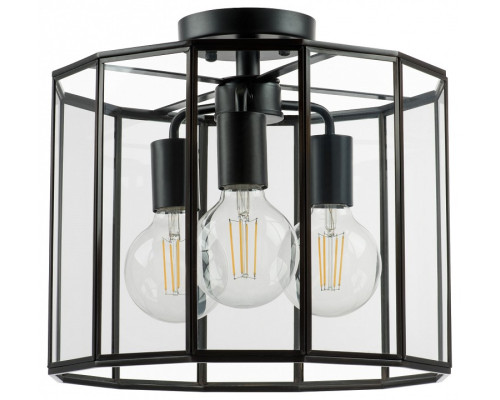 Светильник на штанге Lightstar Genni 798237 Светильник на штанге Lightstar Genni 798237