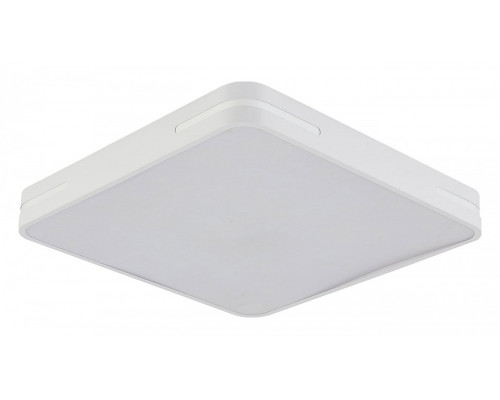 Накладной светильник Natali Kovaltseva Modern LED LAMPS 81331 Накладной светильник Natali Kovaltseva Modern LED LAMPS 81331