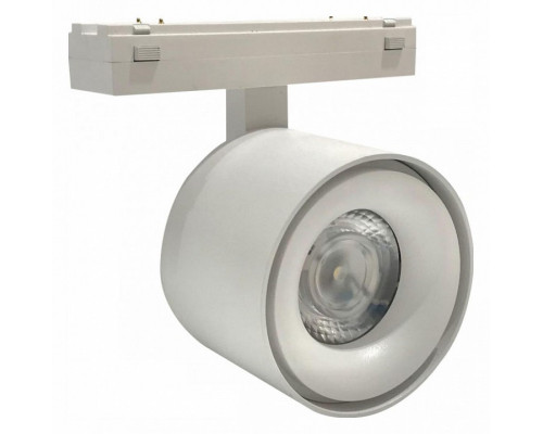Накладной светильник iLedex Technical VISION48/25 4825-049-D74-10W-60DG-3000K-WH Накладной светильник iLedex Technical VISION48/25 4825-049-D74-10W-60DG-3000K-WH