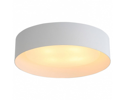 Накладной светильник ST-Luce Chio SL392.502.04 Накладной светильник ST-Luce Chio SL392.502.04