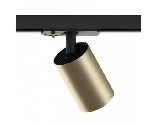 Светильник на штанге Denkirs TUBE DK6201-BG Светильник на штанге Denkirs TUBE DK6201-BG