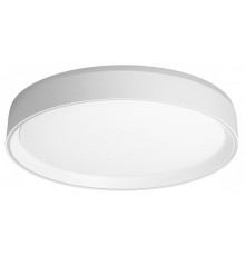 Накладной светильник Citilux BOSS CL751350G