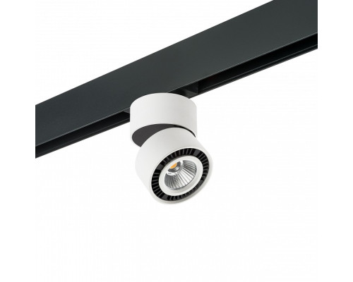 Светильник на штанге Lightstar Forte Muro PRO214816 Светильник на штанге Lightstar Forte Muro PRO214816
