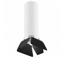 Накладной светильник Lightstar Rullo R496437