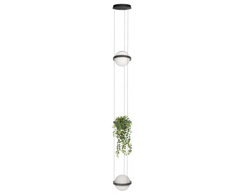 Подвесной светильник Loft it Jardin 10121/2P Dark grey Подвесной светильник Loft it Jardin 10121/2P Dark grey