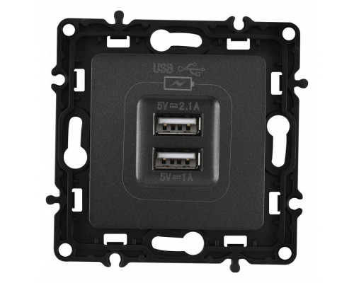 Розетка USB, без рамки Arte Milano am-217 217.46-1.black Розетка USB, без рамки Arte Milano am-217 217.46-1.black