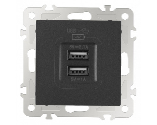 Розетка USB, без рамки Arte Milano am-206 206.46-1.black Розетка USB, без рамки Arte Milano am-206 206.46-1.black