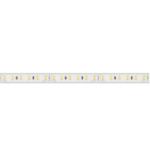 Лента светодиодная Arlight  029514(2)