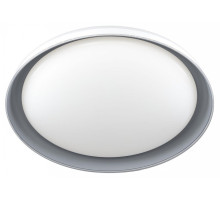 Накладной светильник Citilux MEGA CL752451G