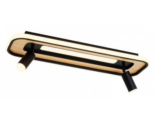 Накладной светильник F-promo Olika 4439-2C Накладной светильник F-promo Olika 4439-2C