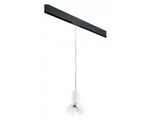 Подвесной светильник Lightstar Rullo PRORP436436 Подвесной светильник Lightstar Rullo PRORP436436