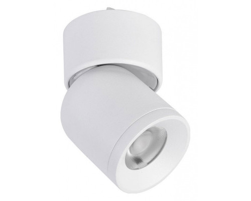 Светильник на штанге Favourite Unika 4150-1U Светильник на штанге Favourite Unika 4150-1U