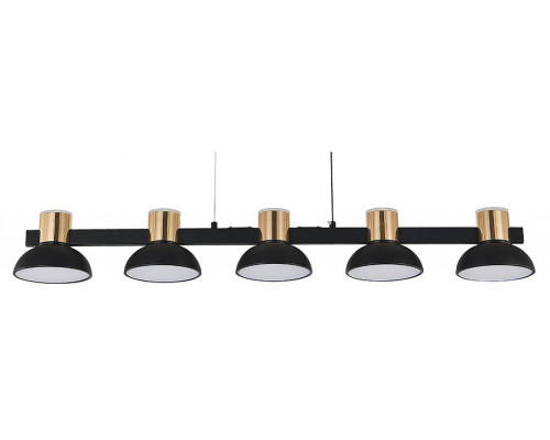Подвесной светильник Indigo Traforo 11059/5PL Black Подвесной светильник Indigo Traforo 11059/5PL Black