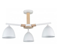 Люстра на штанге Lumion Colange 8095/3C