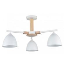 Люстра на штанге Lumion Colange 8095/3C