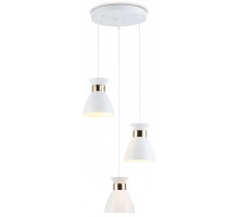 Подвесной светильник Ambrella Light TR TR8467