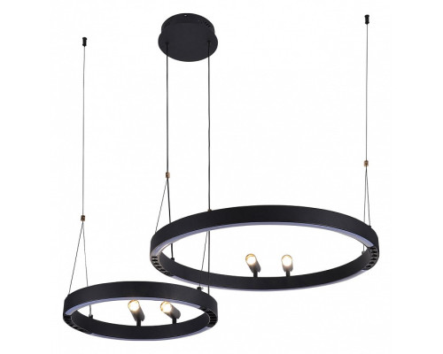 Подвесной светильник F-promo Slinga 4474-2P Подвесной светильник F-promo Slinga 4474-2P
