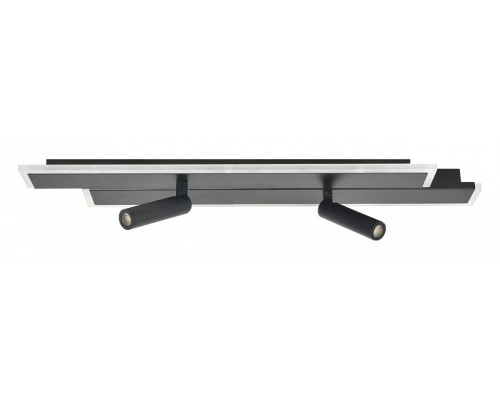 Спот Escada 20047Led 20047SMA/02LED BK Спот Escada 20047Led 20047SMA/02LED BK