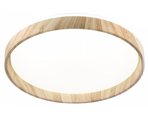Накладной светильник Citilux ENZO CL753452G Накладной светильник Citilux ENZO CL753452G