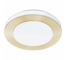 Накладной светильник Eglo ПРОМО Led Carpi 900369