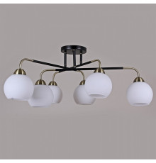 Потолочная люстра ILLUMICO  IL0252-6CSQ-79 BK AB