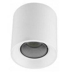 Накладной светильник Denkirs Rodvig DK3090-WH+CH