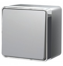 Выключатель одноклавишный влагозащищенный Werkel Gallant (серебряный) W5010206