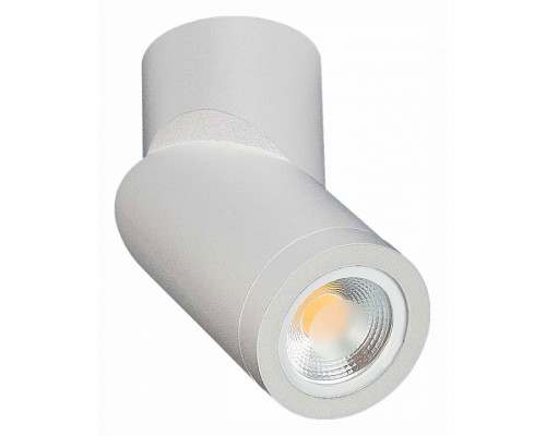 Светильник на штанге ST-Luce ST650 ST650.502.01 Светильник на штанге ST-Luce ST650 ST650.502.01