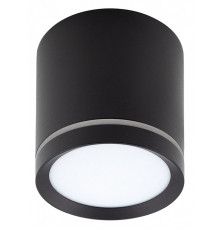 Накладной светильник Denkirs DK401 DK4013-BK