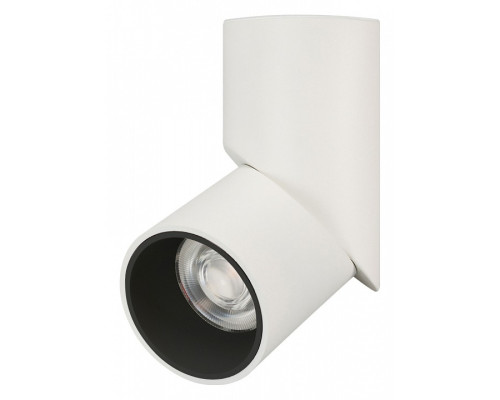 Светильник на штанге Arlight TWIST 025453(1) Светильник на штанге Arlight TWIST 025453(1)