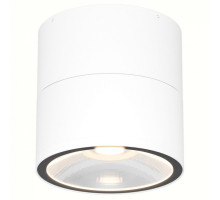 Накладной светильник Maytoni Spin O310CL-L12W3K