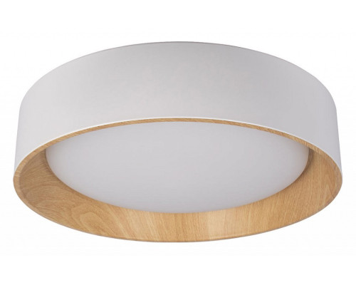 Накладной светильник Loft it Coin 10202 White Накладной светильник Loft it Coin 10202 White
