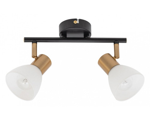 Спот Arte Lamp Falena A3117PL-2BK Спот Arte Lamp Falena A3117PL-2BK