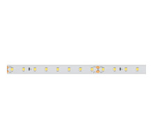 Лента светодиодная Arlight  024529(2)
