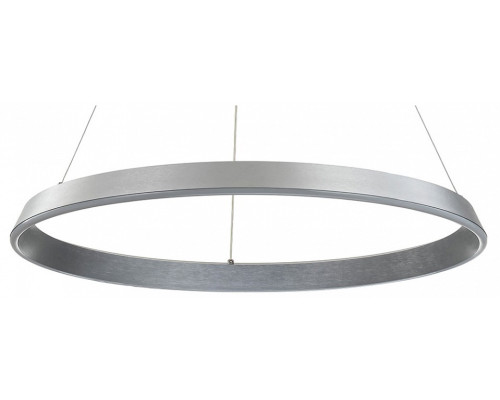 Подвесной светильник Indigo Orta 14019/1P Silver Подвесной светильник Indigo Orta 14019/1P Silver