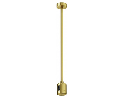 Основание на штанге Maytoni Accessories for tracks Flarity TRA158C-IPCL1-BS Основание на штанге Maytoni Accessories for tracks Flarity TRA158C-IPCL1-BS