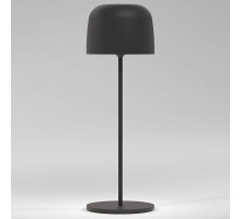 Настольная лампа декоративная Elektrostandard Bitty a069002